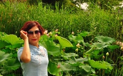 调教小SAO货撅起打屁股作文